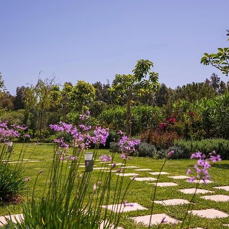 Mear Holiday Homes - Cretan Summer Getaways Kountoura Selino Zewnętrze zdjęcie