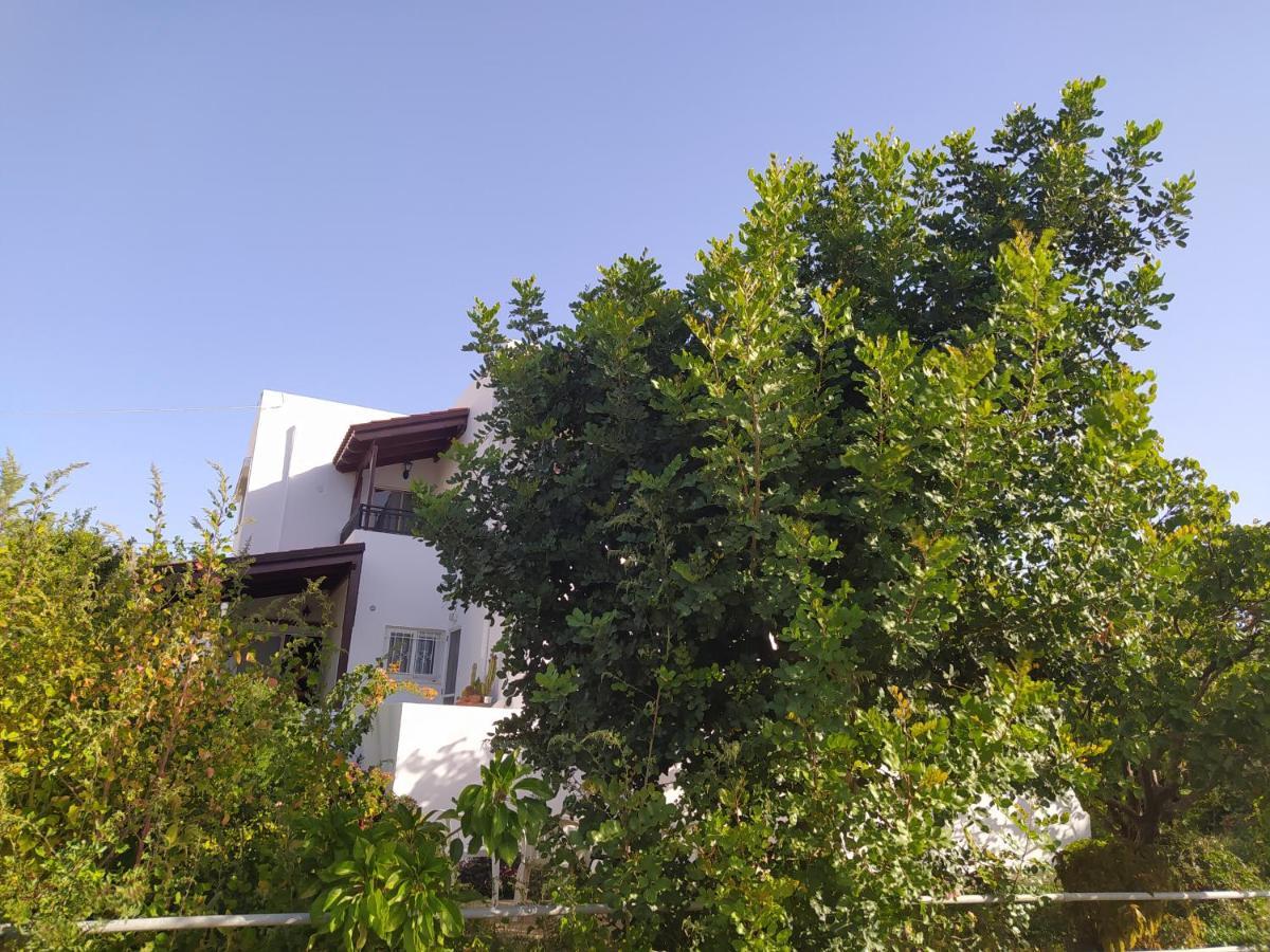 Mear Holiday Homes - Cretan Summer Getaways Kountoura Selino Zewnętrze zdjęcie