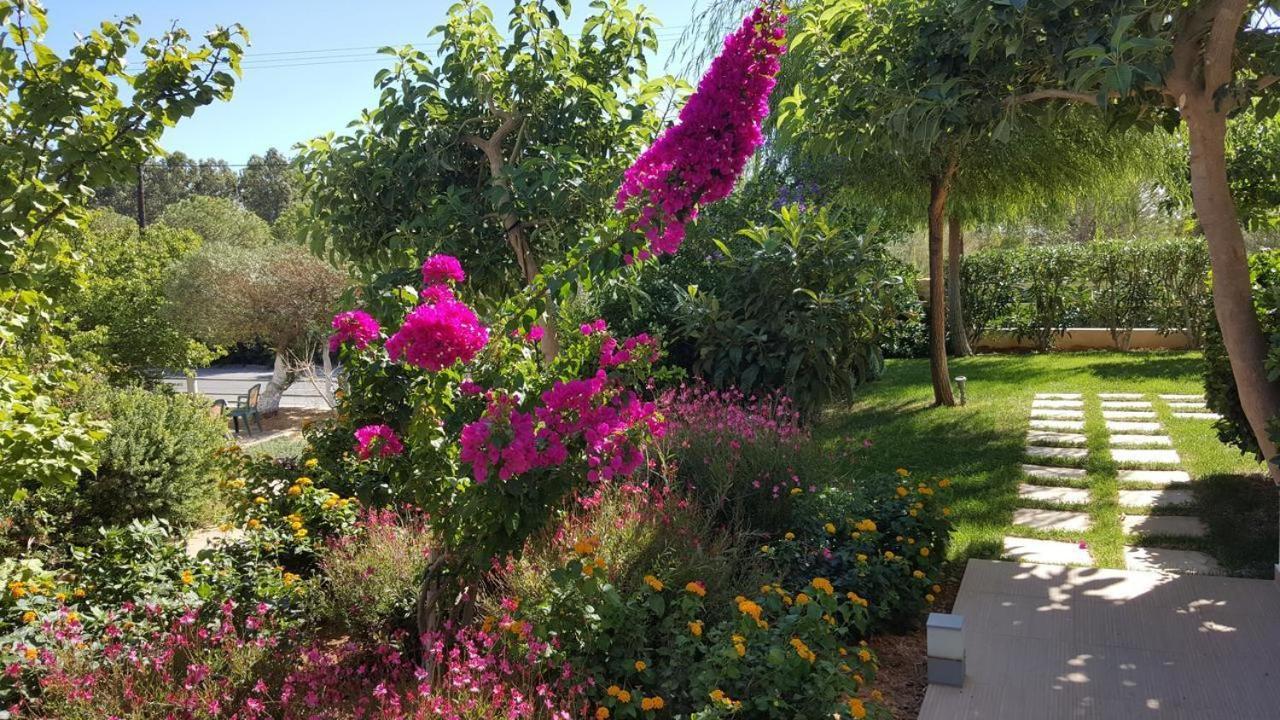 Mear Holiday Homes - Cretan Summer Getaways Kountoura Selino Zewnętrze zdjęcie